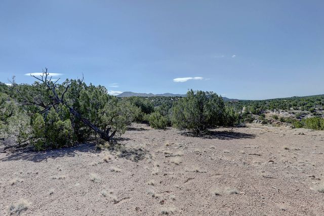 Gold Mine Trail, Sandia Park, NM 87047