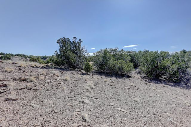 Gold Mine Trail, Sandia Park, NM 87047