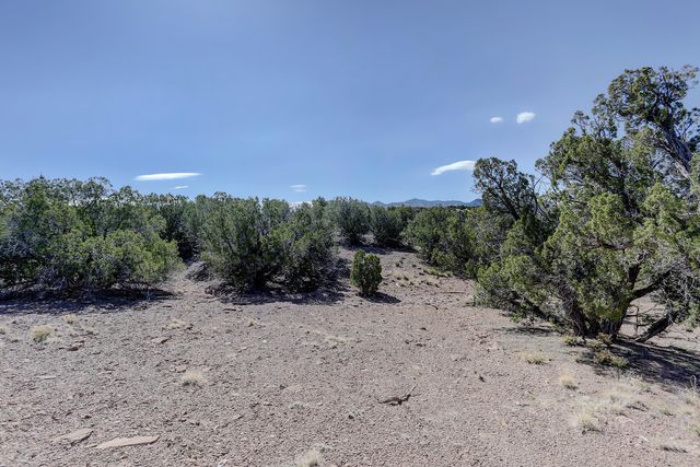 Gold Mine Trail, Sandia Park, NM 87047