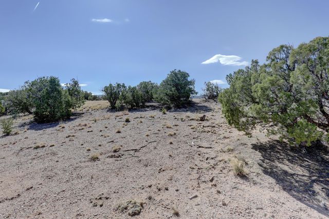 Gold Mine Trail, Sandia Park, NM 87047