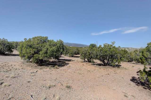 Gold Mine Trail, Sandia Park, NM 87047