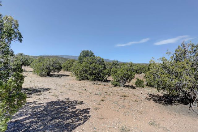 Gold Mine Trail, Sandia Park, NM 87047