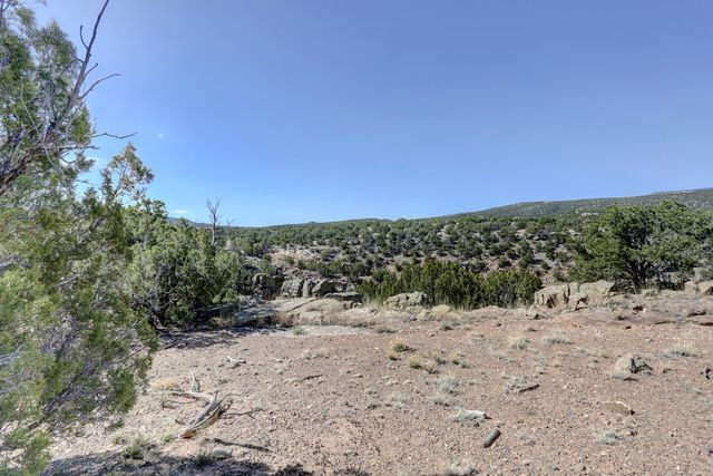 Gold Mine Trail, Sandia Park, NM 87047