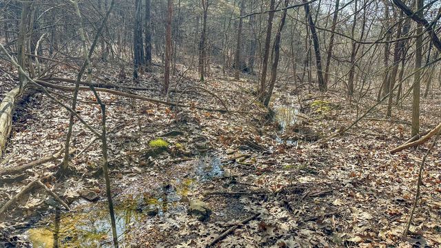 000 County Road 400-A #1, Ava, MO 65608