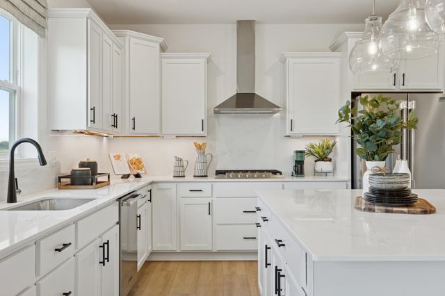 19995 Gadston Lane, Lakeville, MN 55044