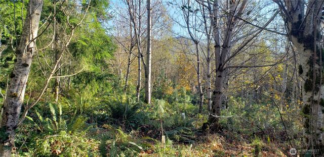 365 XX Cumberland Ridge Road SE, Enumclaw, WA 98022