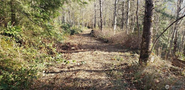 365 XX Cumberland Ridge Road SE, Enumclaw, WA 98022