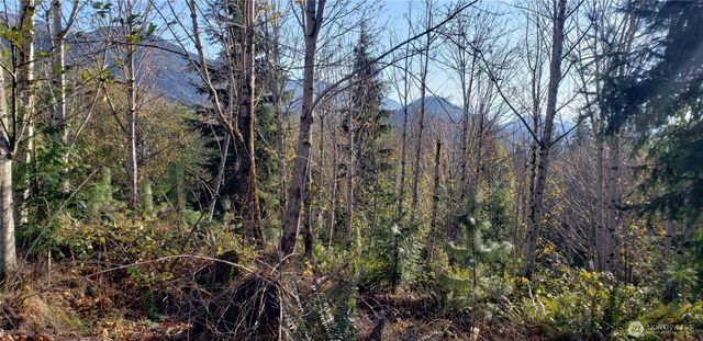 365 XX Cumberland Ridge Road SE, Enumclaw, WA 98022
