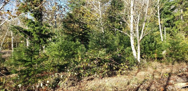 365 XX Cumberland Ridge Road SE, Enumclaw, WA 98022