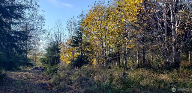365 XX Cumberland Ridge Road SE, Enumclaw, WA 98022
