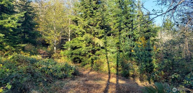 365 XX Cumberland Ridge Road SE, Enumclaw, WA 98022