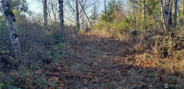365 XX Cumberland Ridge Road SE, Enumclaw, WA 98022