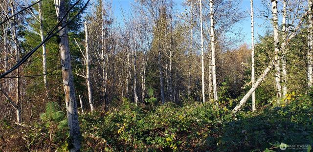 365 XX Cumberland Ridge Road SE, Enumclaw, WA 98022