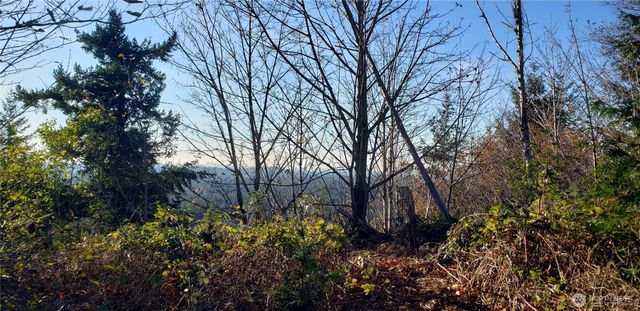365 XX Cumberland Ridge Road SE, Enumclaw, WA 98022