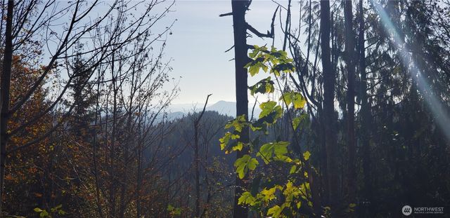 365 XX Cumberland Ridge Road SE, Enumclaw, WA 98022