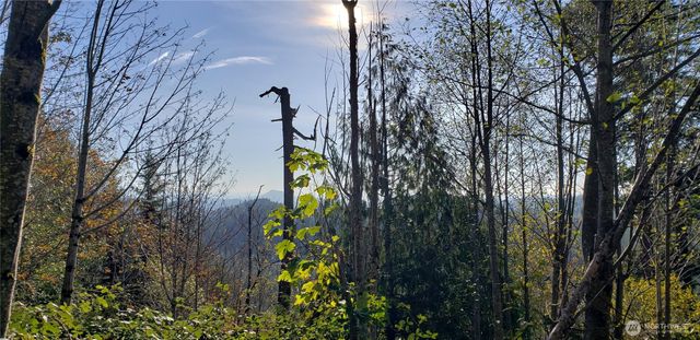 365 XX Cumberland Ridge Road SE, Enumclaw, WA 98022