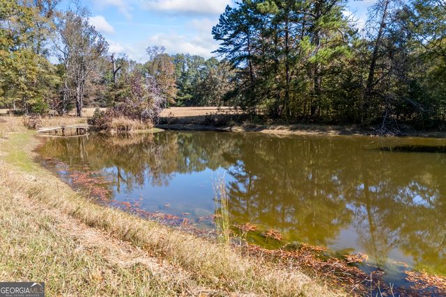 1091 E Peachtree Avenue, Woodville, GA 30669