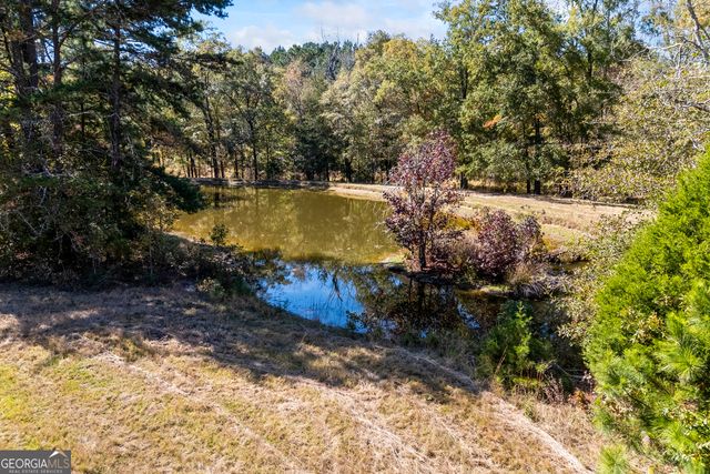 1091 E Peachtree Avenue, Woodville, GA 30669