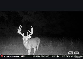 67 +/- Ac Circle Acres Drive, Marthasville, MO 63357