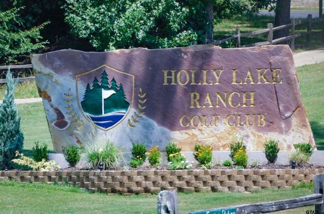 201 Elmwood Lane, Holly Lake Ranch, TX 75765