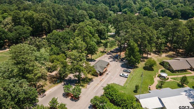 201 Elmwood Lane, Holly Lake Ranch, TX 75765