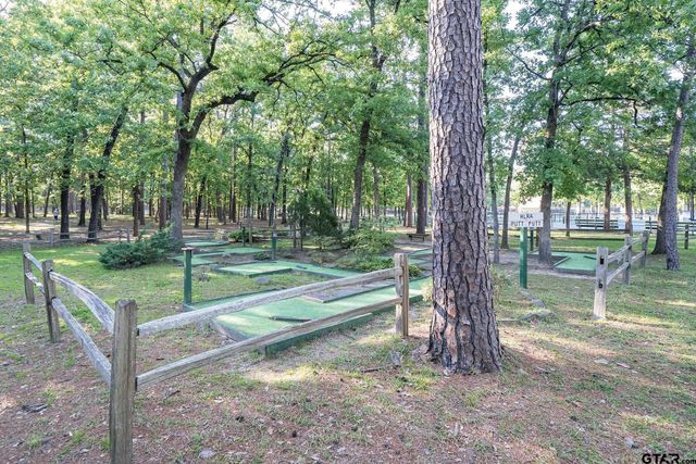 201 Elmwood Lane, Holly Lake Ranch, TX 75765