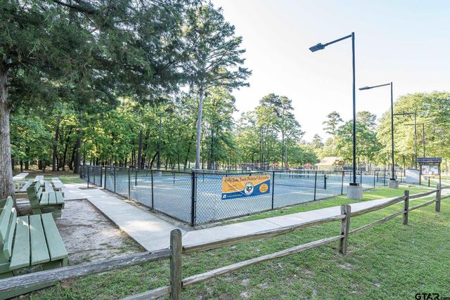 201 Elmwood Lane, Holly Lake Ranch, TX 75765