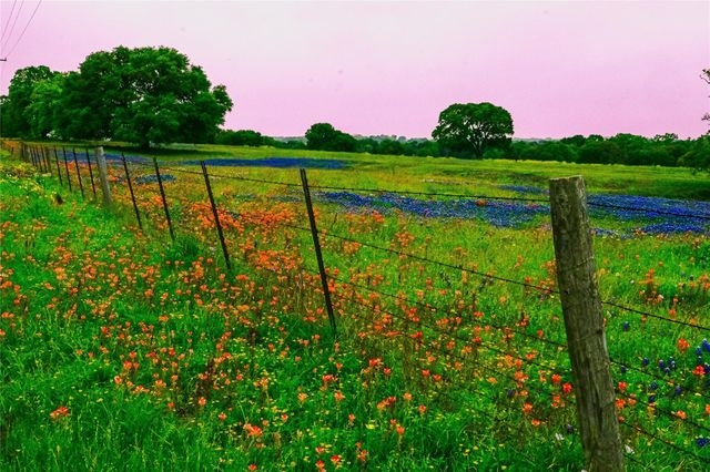 1033 Wrangler Way, Sealy, TX 77474