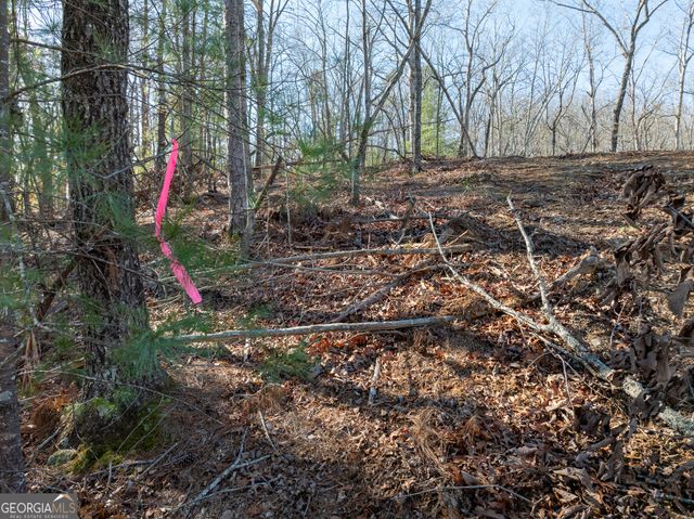 LOT 32R Woodring Branch Road, Ellijay, GA 30540