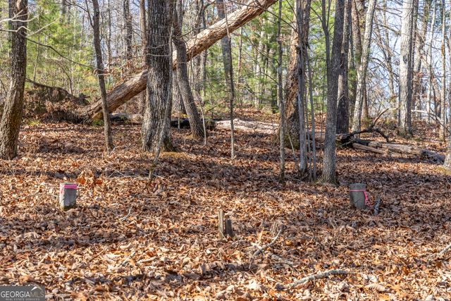 LOT 32R Woodring Branch Road, Ellijay, GA 30540