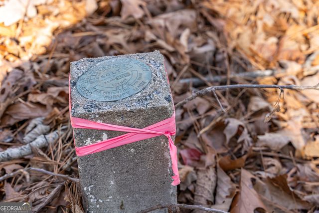 LOT 32R Woodring Branch Road, Ellijay, GA 30540