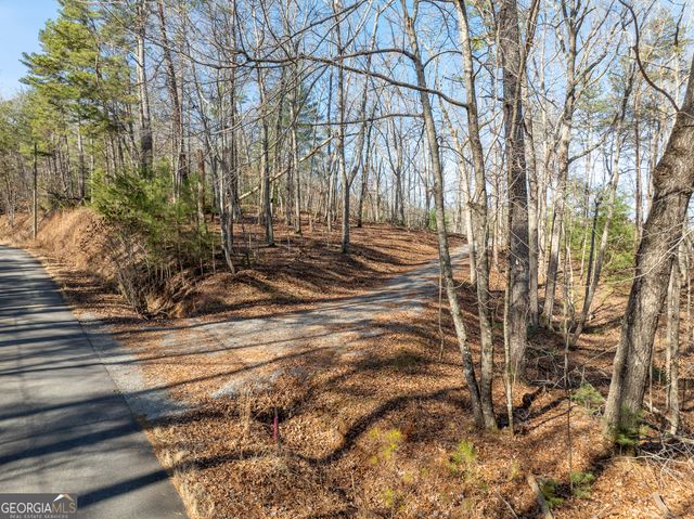LOT 32R Woodring Branch Road, Ellijay, GA 30540