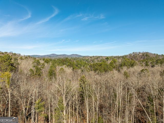 LOT 32R Woodring Branch Road, Ellijay, GA 30540