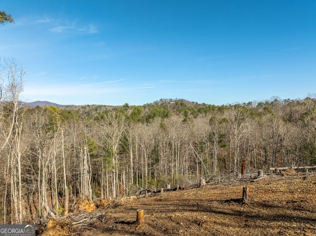 LOT 32R Woodring Branch Road, Ellijay, GA 30540