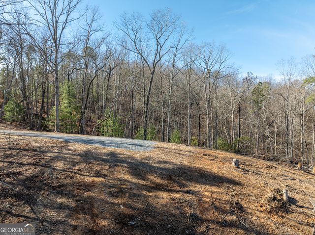 LOT 32R Woodring Branch Road, Ellijay, GA 30540