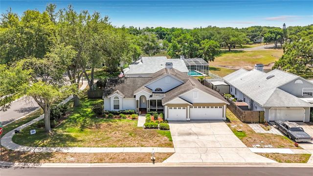 2924 PENRIDGE DRIVE, Palm Harbor, FL 34684