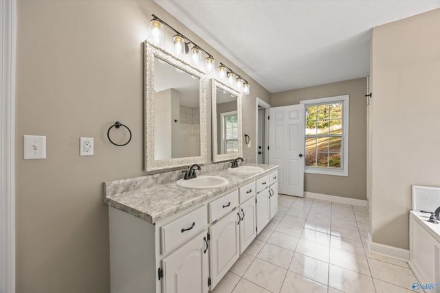 21336 Cairo Hollow Road, Athens, AL 35614