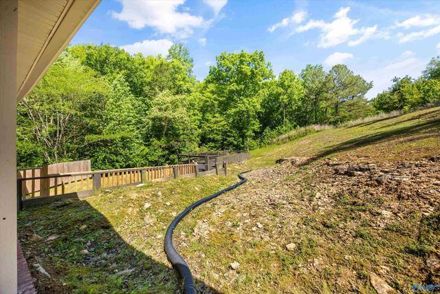 21336 Cairo Hollow Road, Athens, AL 35614