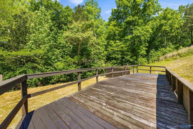 21336 Cairo Hollow Road, Athens, AL 35614
