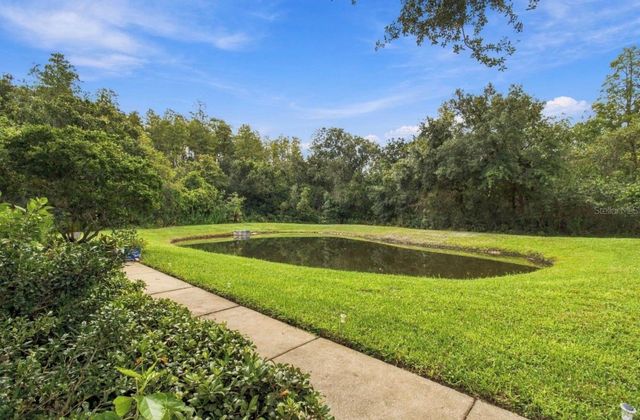6243 DUCK KEY COURT, Tampa, FL 33625