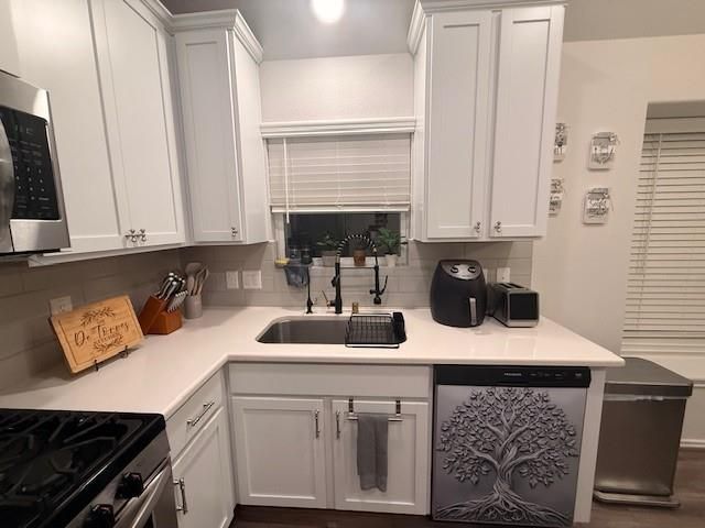 10318 Greenhorn Lane, Rosharon, TX 77583