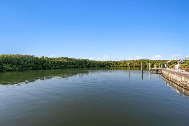 7313 PELICAN ISLAND DRIVE, Tampa, FL 33634