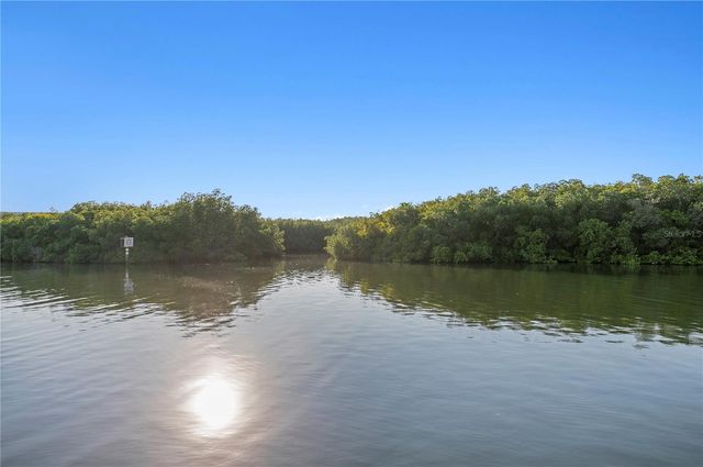 7313 PELICAN ISLAND DRIVE, Tampa, FL 33634