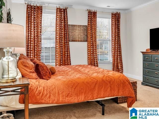 205 MACDONALD COURT, Springville, AL 35146