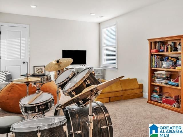 205 MACDONALD COURT, Springville, AL 35146