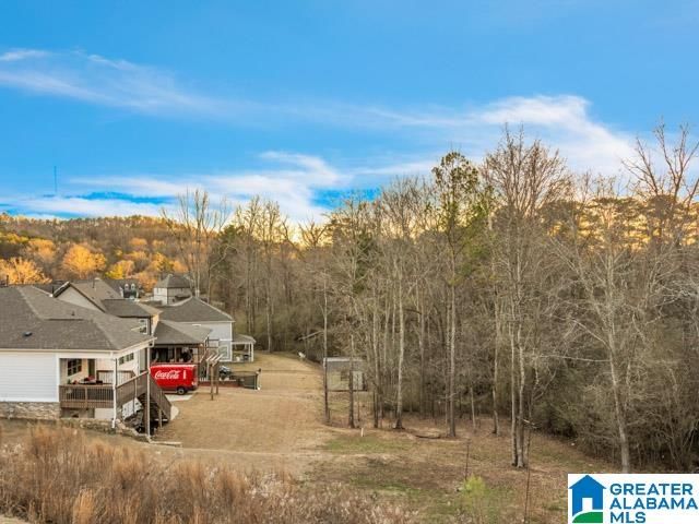 205 MACDONALD COURT, Springville, AL 35146