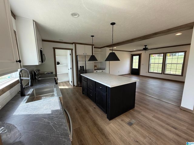 1002 COUNTY ROAD 449, Good Hope, AL 35057