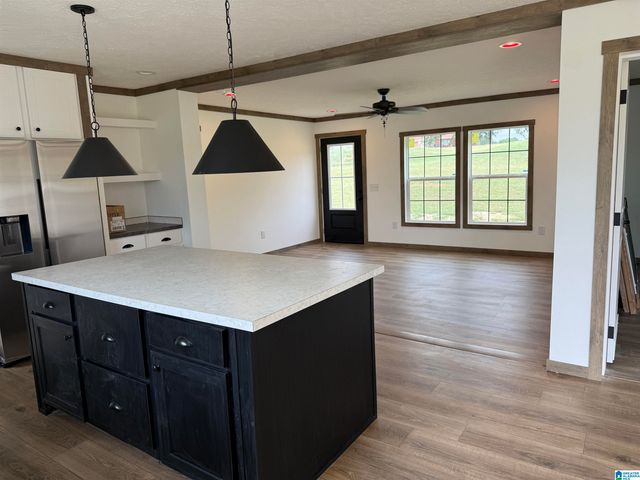 1002 COUNTY ROAD 449, Good Hope, AL 35057