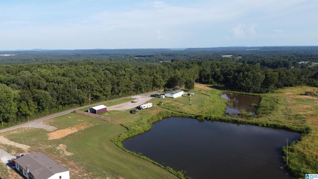 1002 COUNTY ROAD 449, Good Hope, AL 35057
