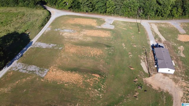 1002 COUNTY ROAD 449, Good Hope, AL 35057